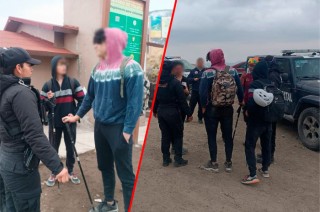 Fueron trasladados a un refugio.