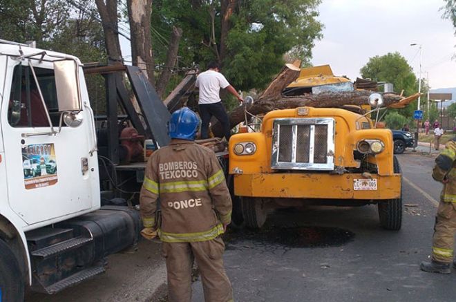 Árbol se desploma sobre una pipa de agua