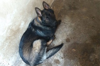 Tras obtener la orden judicial correspondiente, se llevó a cabo el rescate