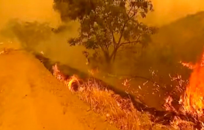 Emergencia en California por incendios; 20 muertos y 50 desaparecidos