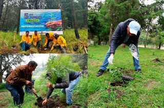 El gobierno municipal busca mantener el 65 por ciento del territorio de Huixquilucan como área verde mediante jornadas de reforestación durante la temporada de lluvias.
