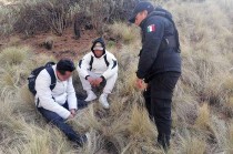 Los efectivos montaron una célula de búsqueda y con una posible ubicación geolocalizaron a los visitantes de 19 y 24 años de edad, provenientes del municipio de Ecatepec.