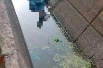 Hallan a jovencito muerto en Edoméx