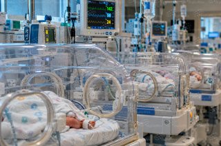 Ocho bebés han fallecido tras permanecer internados en instalaciones del IMSS en Guadalajara, en medio de investigaciones por brotes de infecciones hospitalarias.
