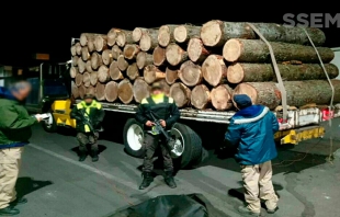 SSEM y Probosque incautan madera ilegal