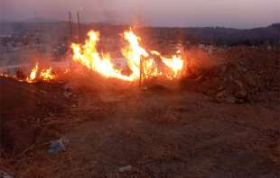 En Tejupilco policías municipales y personal de Protección Civil trabajan para sofocar el incendio registrado en el libramiento oriente