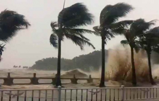 Tifón Hato deja 16 muertos