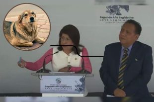 Autoridades mexiquenses indagan en Tecámac la presunta matanza de perros tras denuncias difundidas en redes sociales.