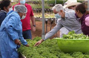 En equipo con la Finca Pombriego, los agricultores mexiquenses conocerán esta forma de cultivo