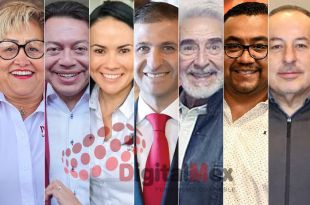 Martha Guerrero, Mario Delgado, Alejandra Del Moral, Juan Maccise, Víctor Quiroz, Ernesto Santillán, José Luis Cervantes 