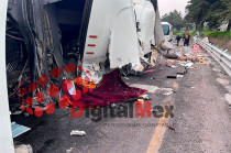 El conductor murió prensado entre el vehículo y el asfalto. 
