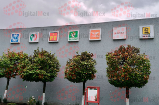 En caso de aprobación, los nuevos partidos iniciarían actividades el 1 de julio de 2026 y se redistribuirán los recursos públicos existentes entre todas las fuerzas políticas.