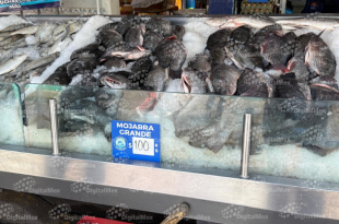 Factores como la demanda estacional y costos de traslado influyen en el encarecimiento de productos en mercados locales.