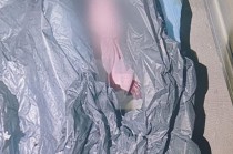 Autoridades investigan el abandono de un recién nacido en la colonia Fuentes del Valle