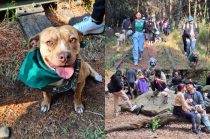 Familias y mascotas participaron en una caminata canina ha.cia la cascada en Ocoyoacac.