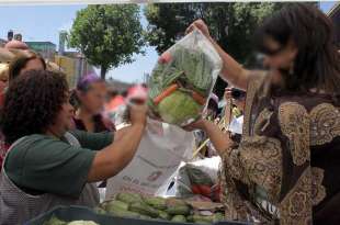 Fueron las encargadas de hacer las compras de despensa y comida en tianguis