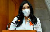 El exhorto lo hizo la diputada local del PAN, Karla Leticia Fiesco García