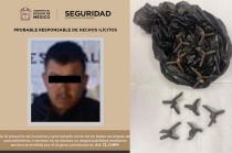 Fernando “N”, de 31 años, fue trasladado al Centro de Justicia de Tejupilco, donde quedó a disposición del Ministerio Público para determinar su situación jurídica.