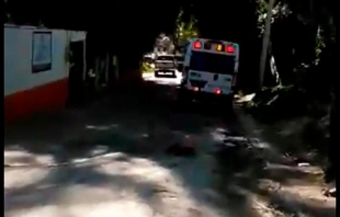 Matan abejas a un hombre en Villa Guerrero