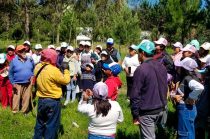 Empresas y ciudadanos participaron en jornadas de reforestación en parques de la capital