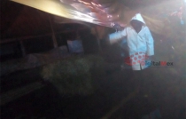#Video #Toluca: durante la noche, retiran a comerciantes de flor de Palmillas