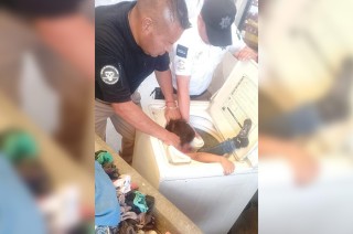 De acuerdo con las autoridades, el hecho se trató de un accidente doméstico, que, aunque alarmante, no pasó a mayores gracias a la pronta intervención de los cuerpos de rescate.