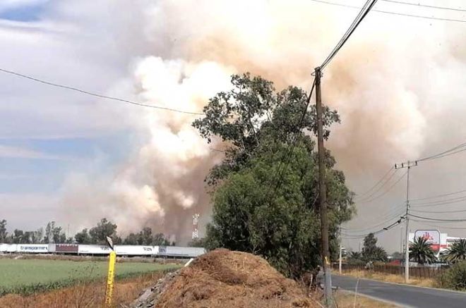 Desde hace varios meses la Laguna de Zumpango está totalmente seca