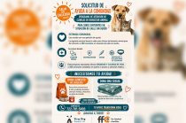 Integrantes de Stray Dog Support Inc. realizarán jornadas de atención veterinaria y bienestar animal en Rayón.