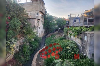 A pesar de que el municipio cuenta con una planta de tratamiento de aguas residuales, más de siete ríos de aguas negras siguen contaminando la región.