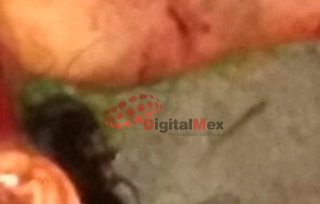 Hallan a mujer muerta en Almoloya de Juárez