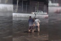 Destapan coladeras para frenar el caos por la lluvia.