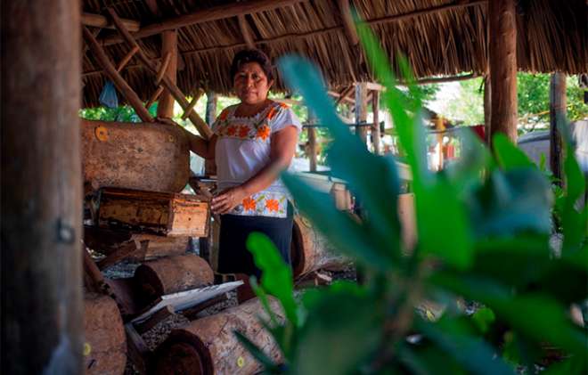 Le dieron también el nombre de &quot;cuidadora de abejas&quot;