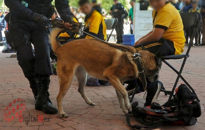 #Video: En 2019 realizaron 181 &quot;Operativos Mochila&quot; en 51 municipios del #Edomex