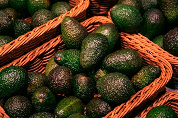 EU suspende importación de aguacate de Michoacán por alerta de seguridad