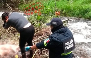 Temascaltepec: abandonan cuerpo desnudo en río