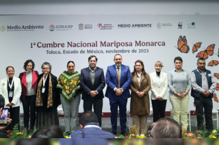 Autoridades ambientales, representantes comunitarios y especialistas participaron en la Primera Cumbre Nacional Mariposa Monarca