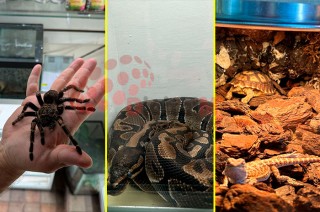 Villafon Exotics, ubicado en el municipio de Metepec