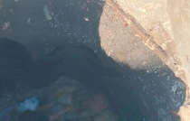 Localizan un cráneo dentro de una alcantarilla en #LosReyesLaPaz