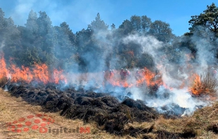 Se quemaron 7 mil 811 hectáreas de bosque durante 2018 en Edomex: Probosque