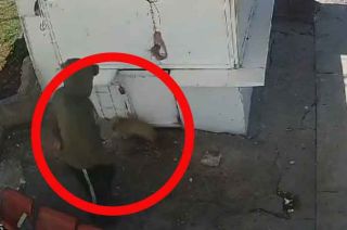 #Video: Recolector golpea brutalmente a lomito en #Edoméx