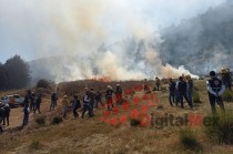 El Estado de México ha registrado mil 185 hectáreas afectadas.