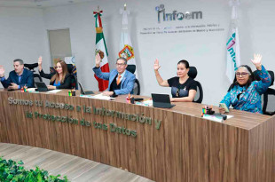 Pidió garantizar derechos como el acceso a la información y la privacidad, y ofreció colaboración técnica en el proceso legislativo.