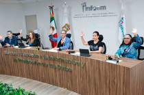 Pidió garantizar derechos como el acceso a la información y la privacidad, y ofreció colaboración técnica en el proceso legislativo.