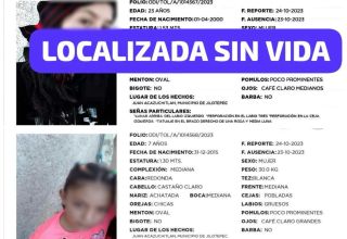 Fichas de desaparición