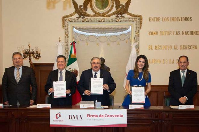 Programa de Certificación Voluntaria para abogados litigantes