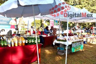 Este evento reunió a más de 80 productores rurales de los sectores agrícola, pecuario, artesanal y de manufactura, atrayendo a alrededor de 700 compradores.