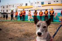 Aquí aprenderán a convivir con sus mascotas y a cuidar de ellas