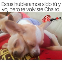 Te volviste Chairo...