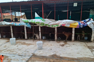 Uno de los presuntos implicados sería José Luis Amador, exveterinario del lugar.