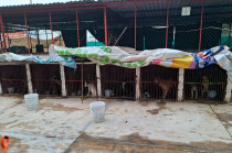 Uno de los presuntos implicados sería José Luis Amador, exveterinario del lugar.